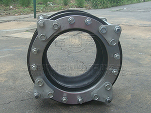 甘肅臨夏州永靖縣駱盈雙球體橡膠膨脹節(jié)產(chǎn)品圖